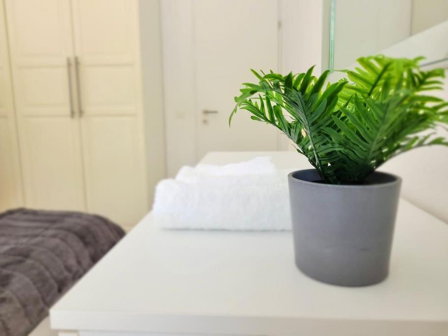 Apartment Palma - Central & Cozy With Free Private Parking Lugano Zewnętrze zdjęcie